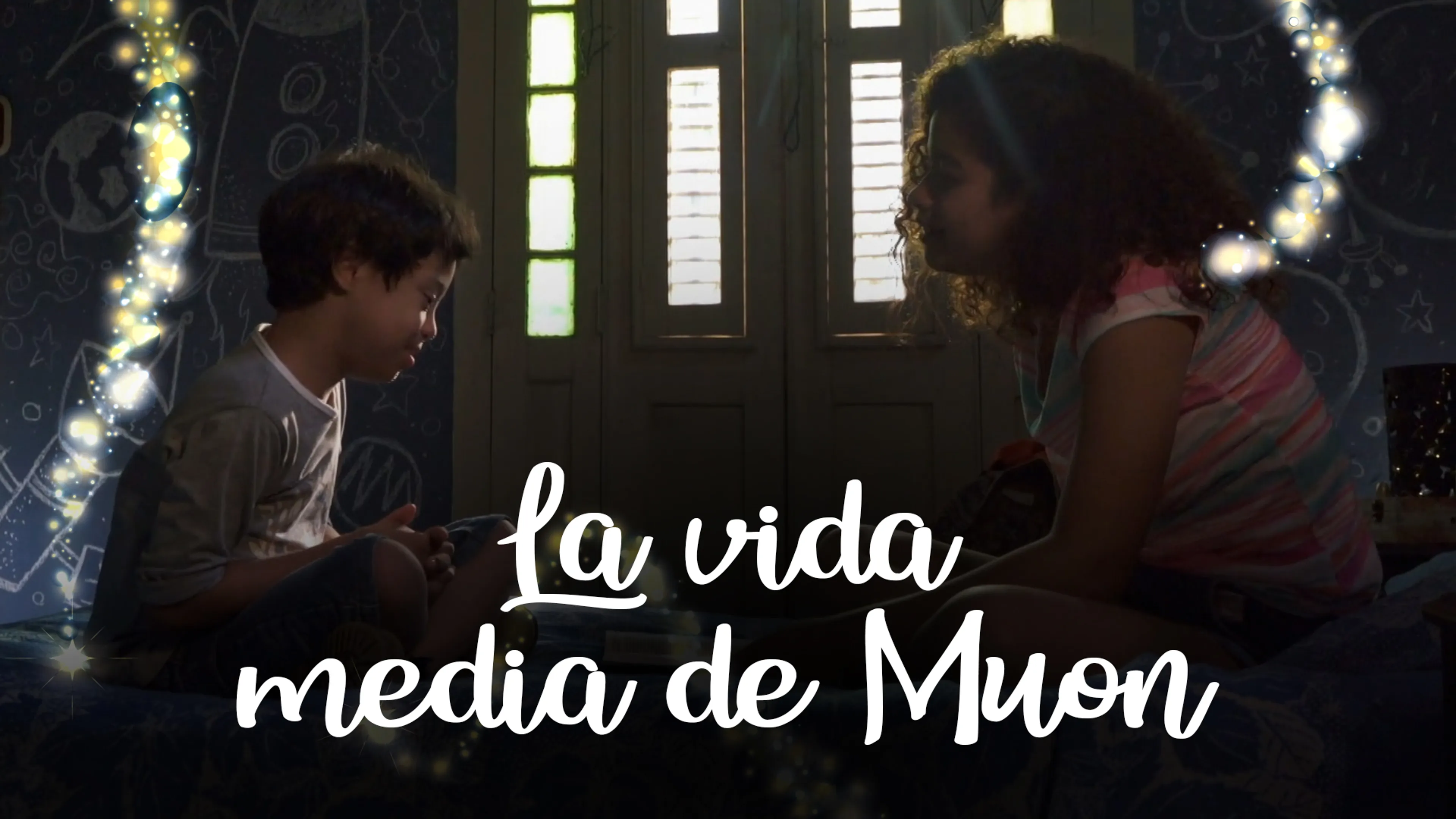 La vida media de Muon poster